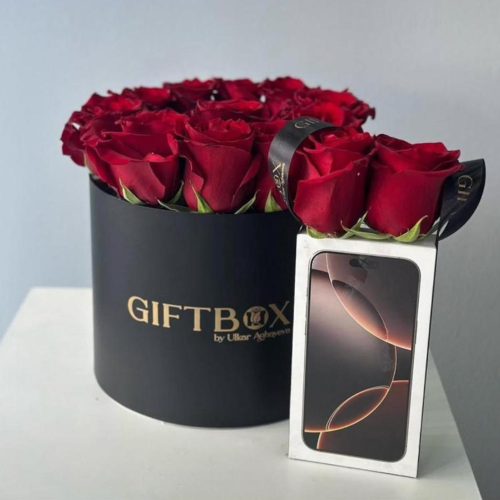 Iphone 16 pro max 256G